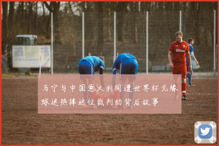 马宁与中国意大利同遭世界杯无缘球迷热捧这位裁判的背后故事