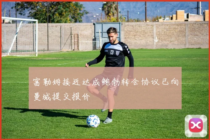 富勒姆接近达成鲍勃转会协议已向曼城提交报价