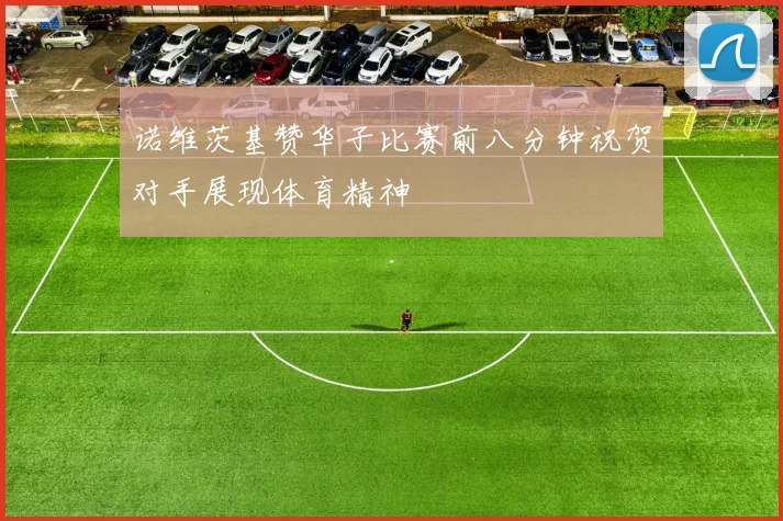 诺维茨基赞华子比赛前八分钟祝贺对手展现体育精神