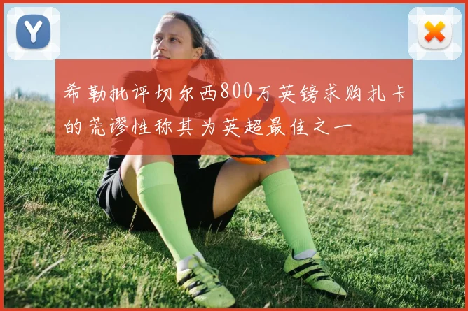 希勒批评切尔西800万英镑求购扎卡的荒谬性称其为英超最佳之一